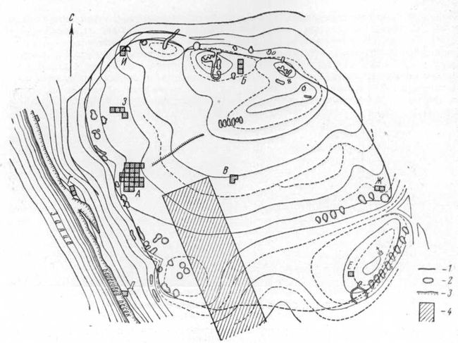 План городища Кепы