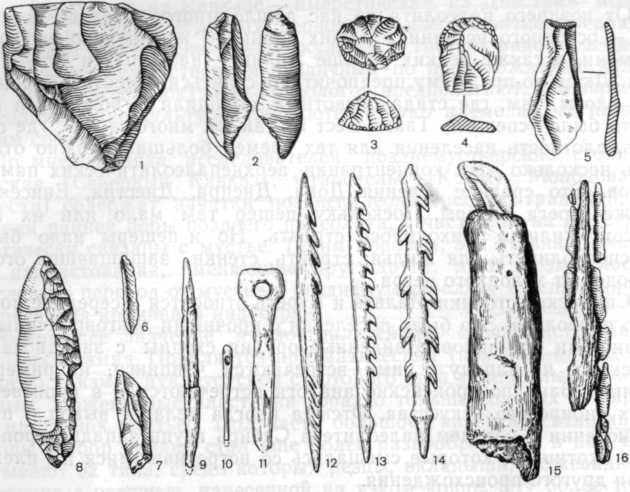 Орудия позднего палеолита: камень: 1 — конический нуклеус, 2 — ножевидная пластинка, 3—5 — скребки, 6 — острие с затупленной спинкой; 7 — боковой резец, 8 — острие с боковой выемкой; кость и рог: 9 — острие, 10 — иголка, 11— «жезл начальника», 12—14 — гарпуны, 15—16 — составные орудия