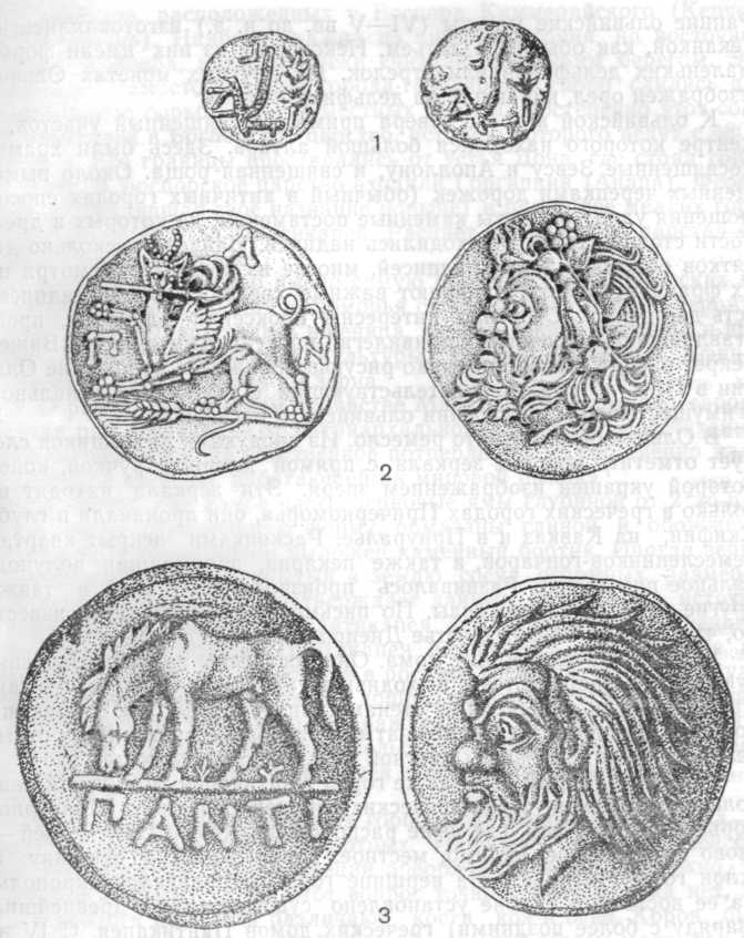 Античные монеты (увеличены):1 — монета с изображением плуга, 2 — монета Пантикапея с изображением грифона с колосом, 3 — монета Пантикапея