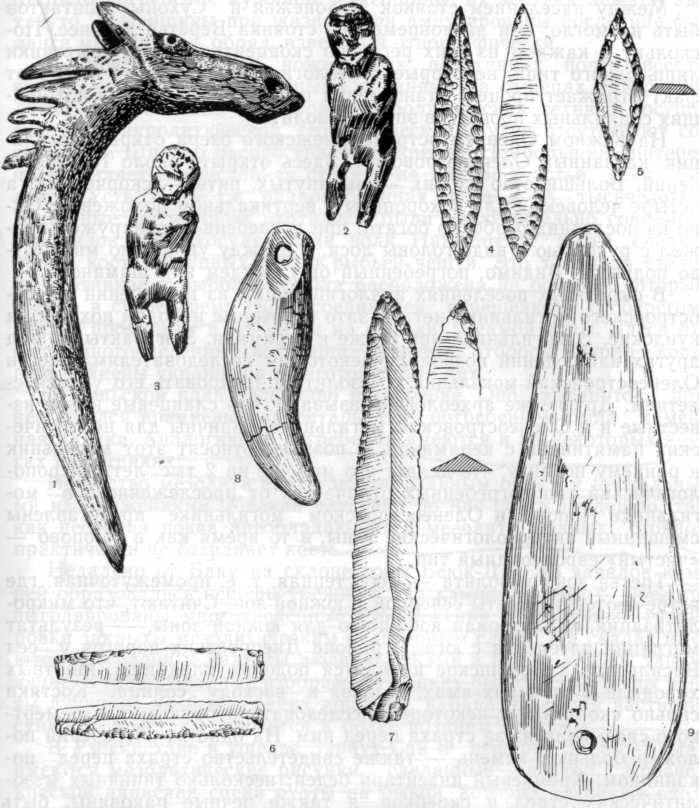 Инвентарь Оленеостровского могильника: 1 — изображение головы лося, 2—3 — изображение людей, 4—5 — стрелы, 6—7 — ножи, 8 — подвеска из клыка медведя, 9 — сланцевый нож