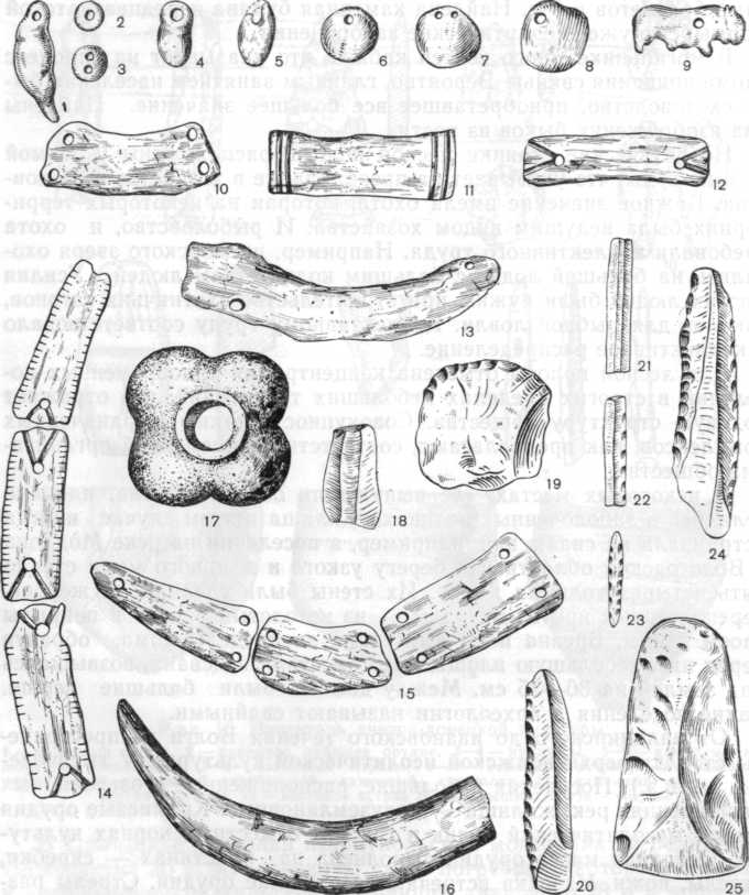 Инвентарь Мариупольского могильника: 1—8 — привески из кости, перламутра и зубов животных, 9 — костяная фигурка быка, 10—15 — части ожерелий из костяных пластинок, 16 — кабаний клык, 17 — каменная булава, 18—25 — кремневые орудия