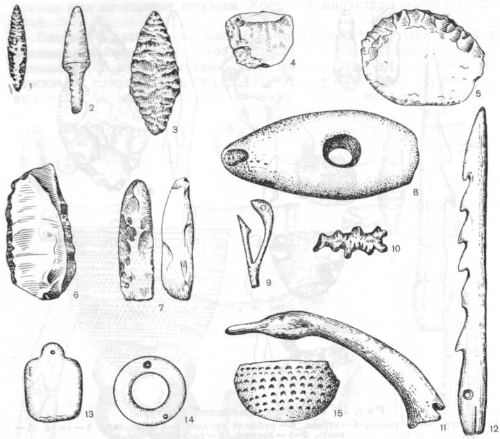 Инвентарь волосовской культуры: 1 — каменная стрела, 2 — костяная стрела, 3 — копье, 4 — скребок, 5 — скребло, 6 — нож, 7 — долото, 8 — сверленый топор, 9 — составной костяной крючок, 10 — фигурный кремень (скульптура), 11 —костяное изображение головы лебедя, 12 — костяной гарпун, 13 — шиферная подвеска, 14 — шиферное кольцо, 15 — сосуд