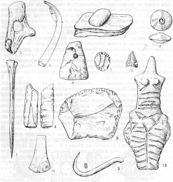 Инвентарь трипольской культуры: 1 — костяная проколка, 2 — медный крючок, 3—4 — орудия из камня, 5 — роговая мотыга, 6 — серп с вкладышами, 7 — зернотерка, 8 — пряслице, 9 — грузик ткацкого станка, 10 — медный топор, 11—кремневый скребок, 12 — кремневая стрелка, 13 — женская статуэтка