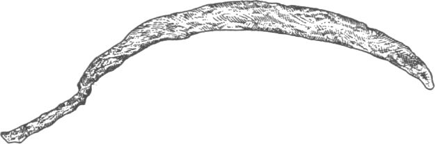 Железный серп I—II вв. дон. э. (из могильника у с. Ивановского)