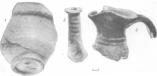 Участок IV. Керамика из ямы в помещениях 3 (1—2) и 10 (3).