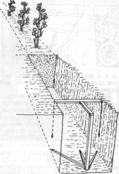 Глубокий плантаж для посадки виноградных лоз. Реконструкция. I в. н. э. Италия.