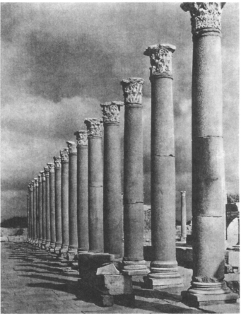 Центральная улица в городе Тимгаде (Северная Африка). III в. н. э.