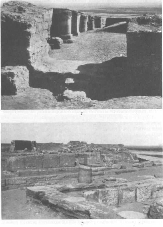 Дура