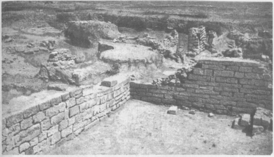 21. Раскопки подвального помещения эллинистического периода.