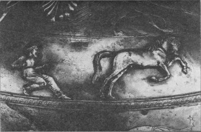 Рис. 35. Ловля коня арканом. Деталь декора чертомлыцкой амфоры